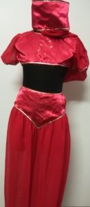 Kids Costumes to Hire - Arabian GIRL- Red top, pants, headpiece 
